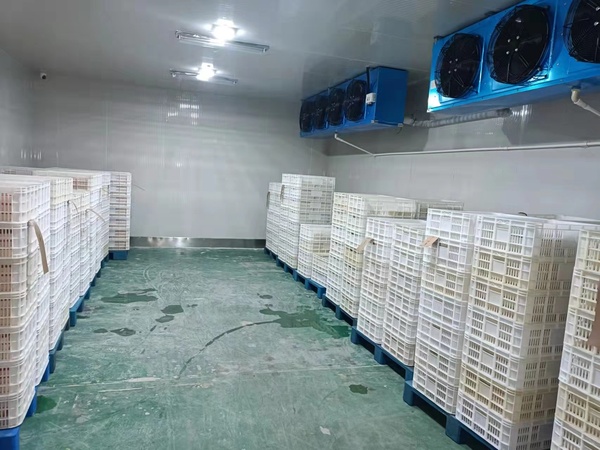 保鲜冷库