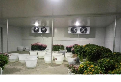 鲜花冷库